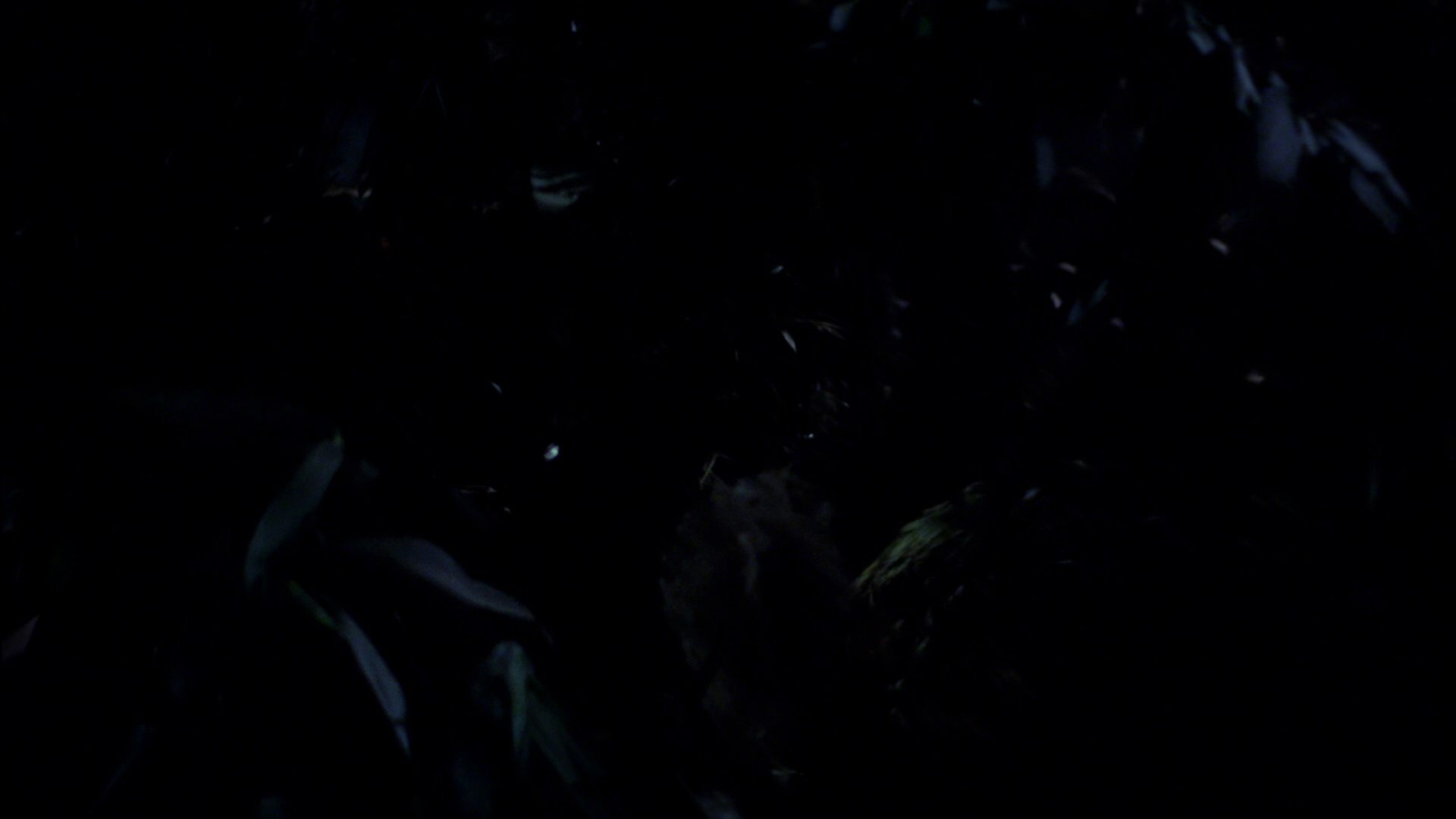 extant_StarTrek_ENT_1x18-RoguePlanet_1857.jpg