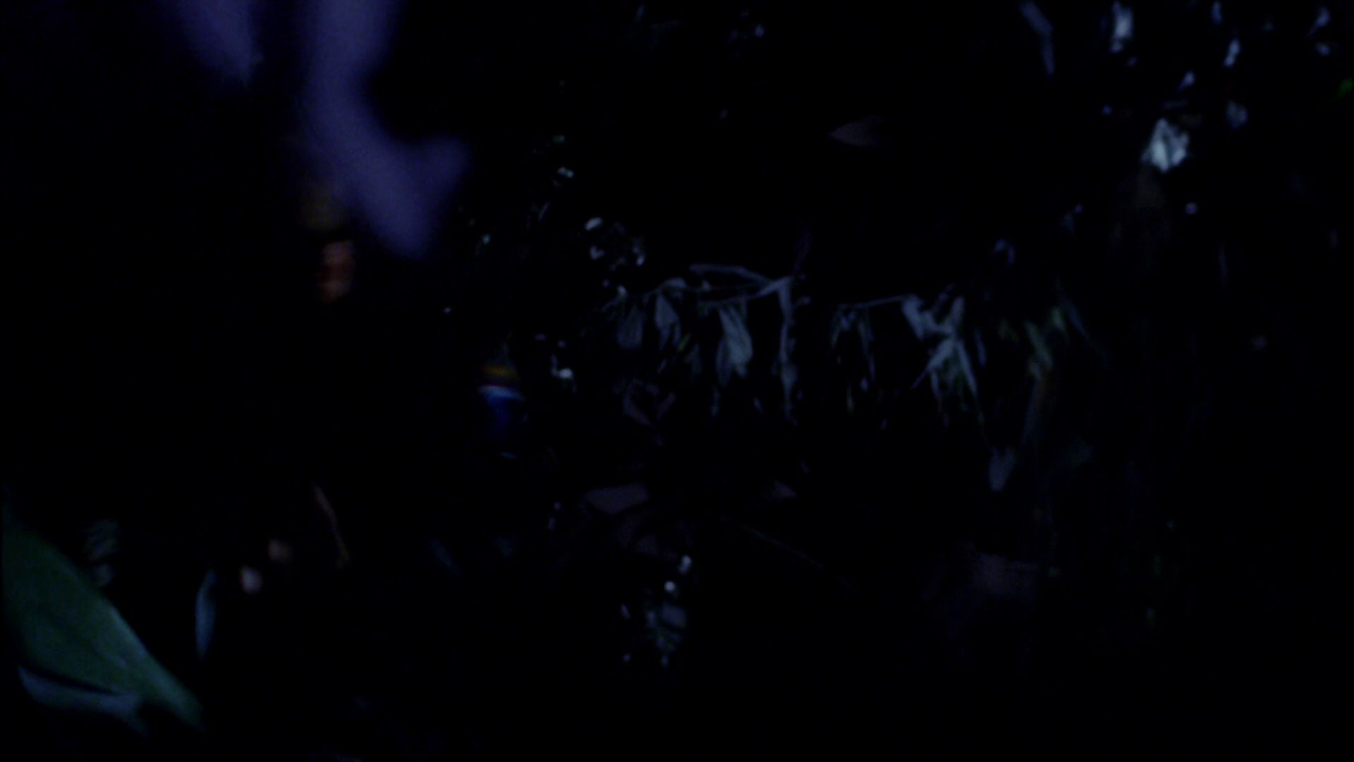 extant_StarTrek_ENT_1x18-RoguePlanet_1867.jpg