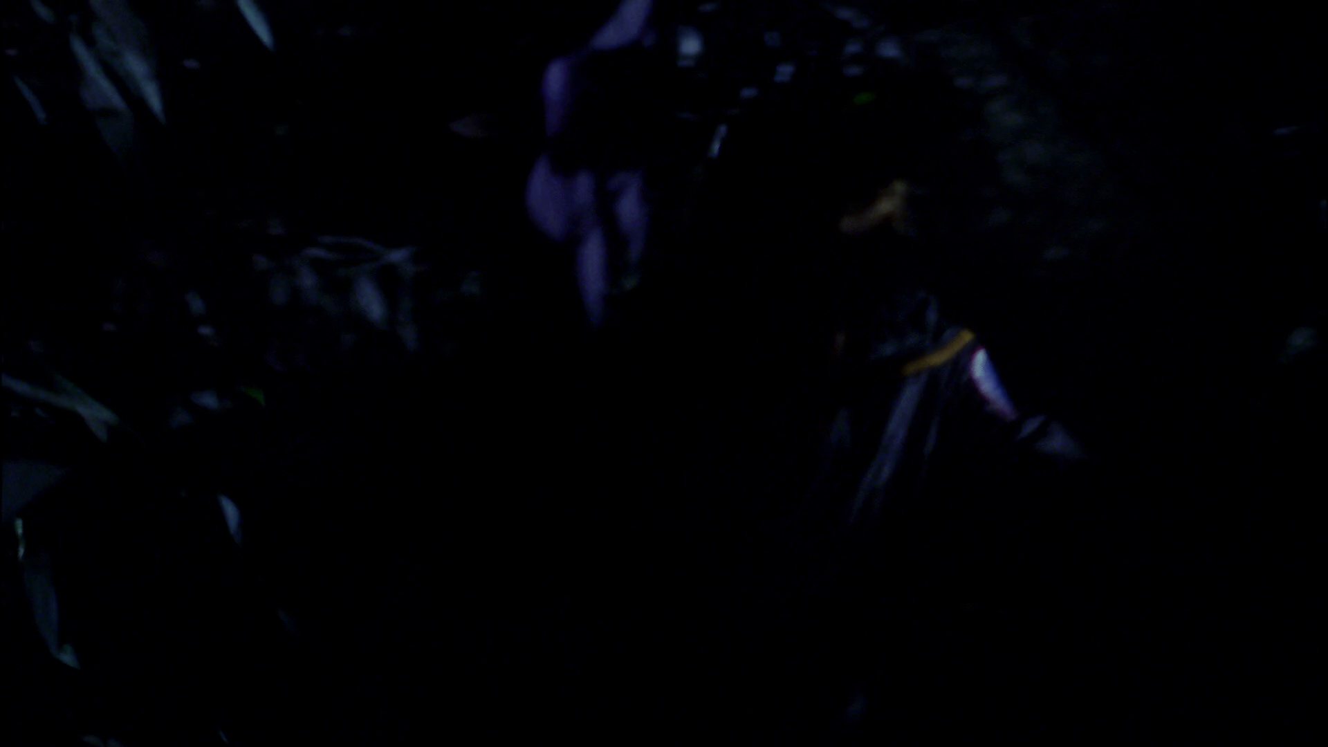 extant_StarTrek_ENT_1x18-RoguePlanet_1868.jpg