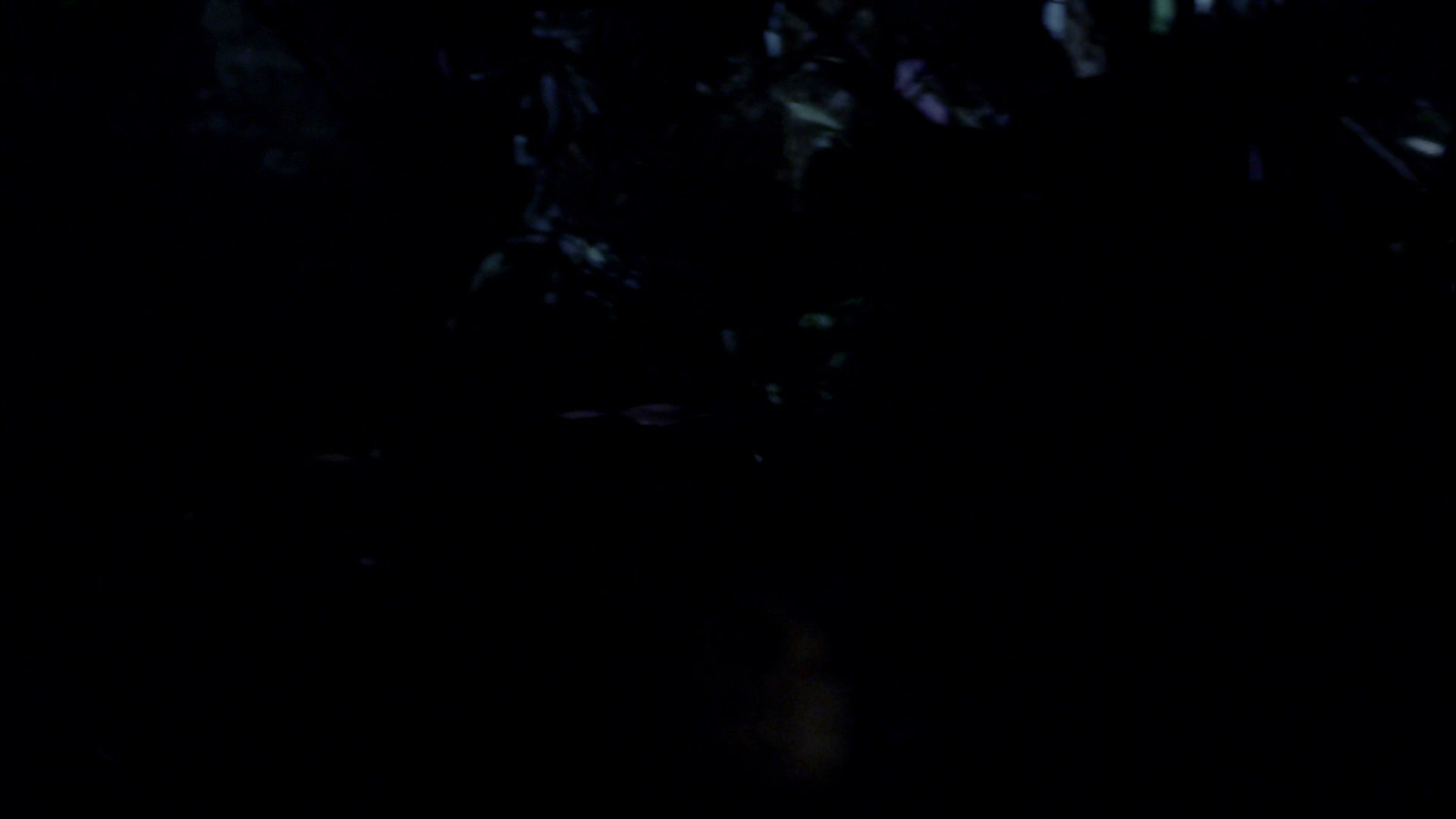 extant_StarTrek_ENT_1x18-RoguePlanet_1869.jpg