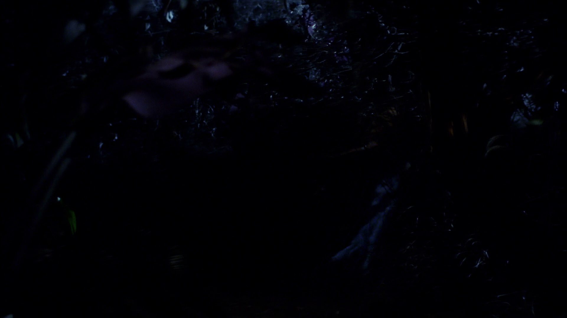 extant_StarTrek_ENT_1x18-RoguePlanet_1873.jpg