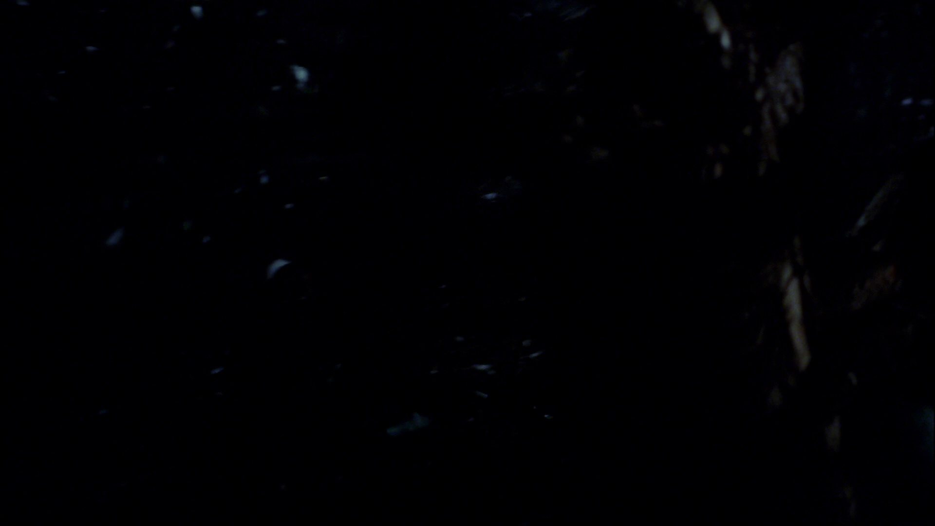 extant_StarTrek_ENT_1x18-RoguePlanet_1874.jpg