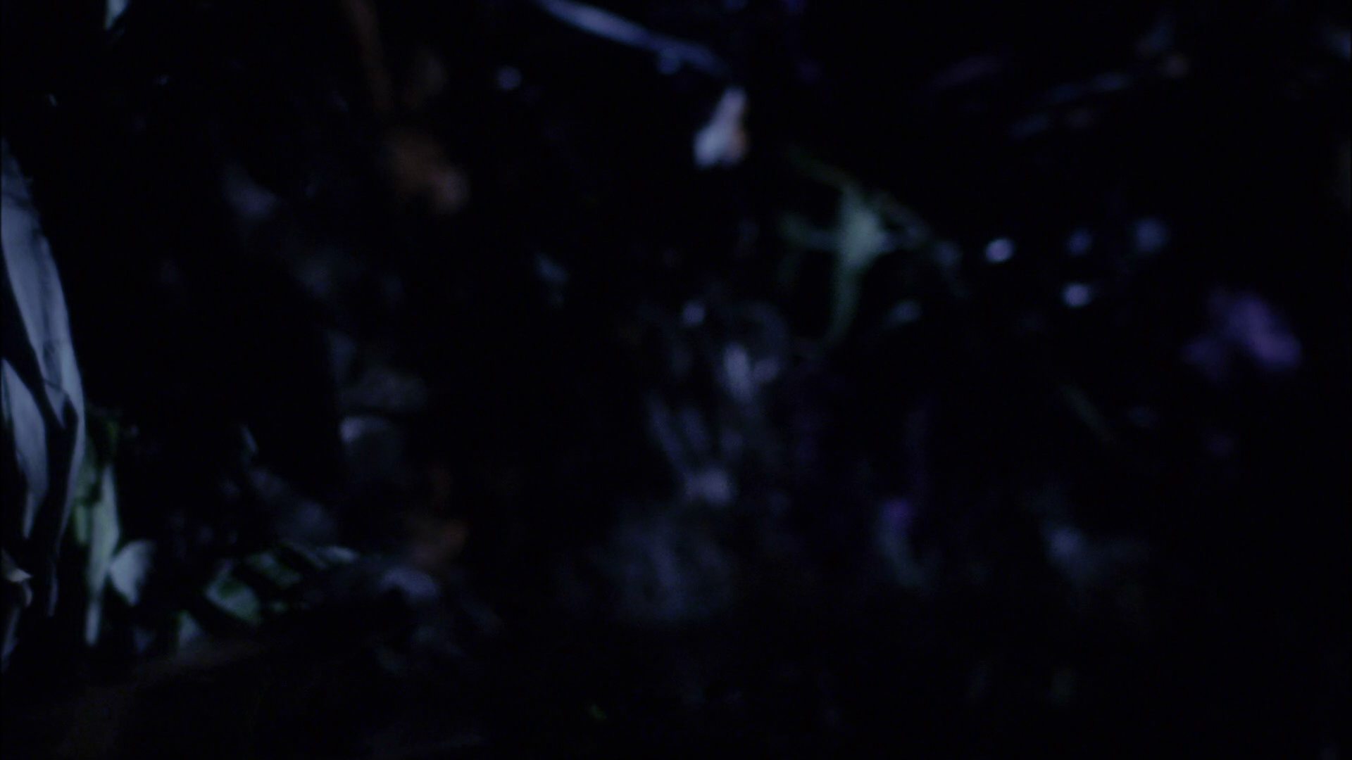 extant_StarTrek_ENT_1x18-RoguePlanet_1993.jpg