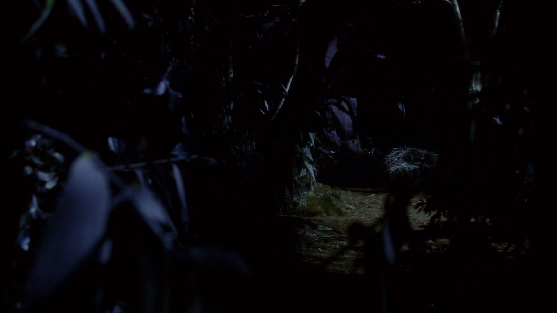 extant_StarTrek_ENT_1x18-RoguePlanet_3325.jpg