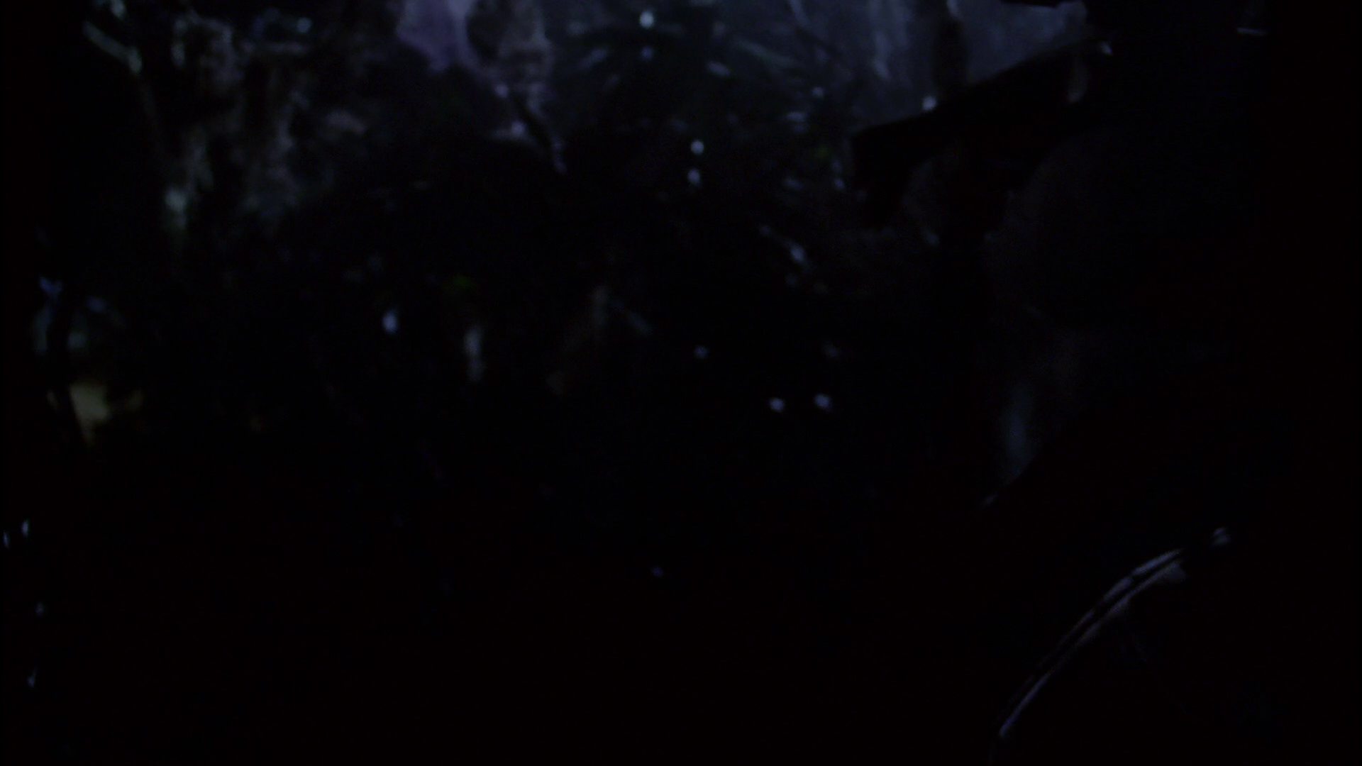 extant_StarTrek_ENT_1x18-RoguePlanet_3345.jpg