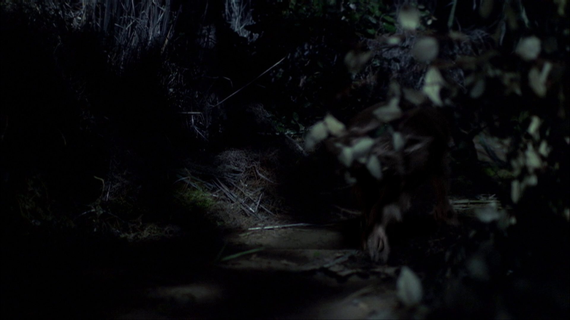 extant_StarTrek_ENT_1x18-RoguePlanet_3346.jpg