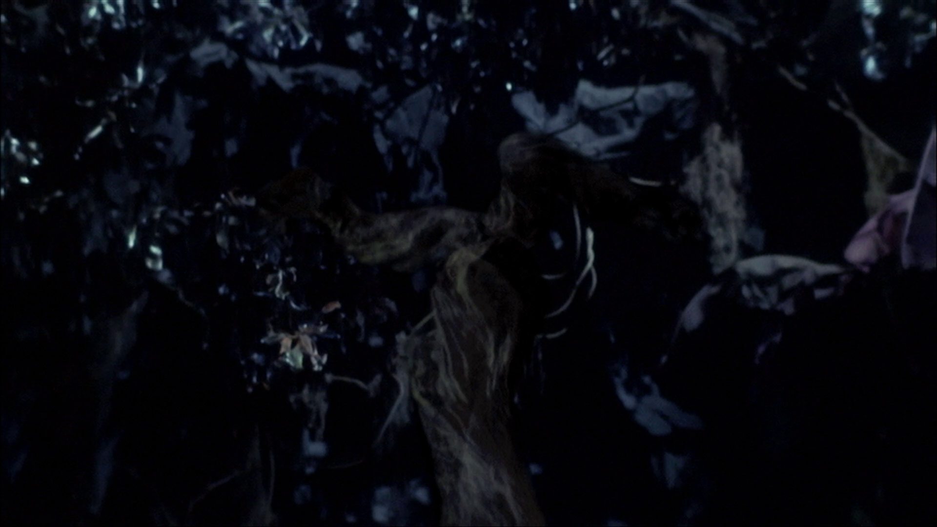 extant_StarTrek_ENT_1x18-RoguePlanet_3353.jpg