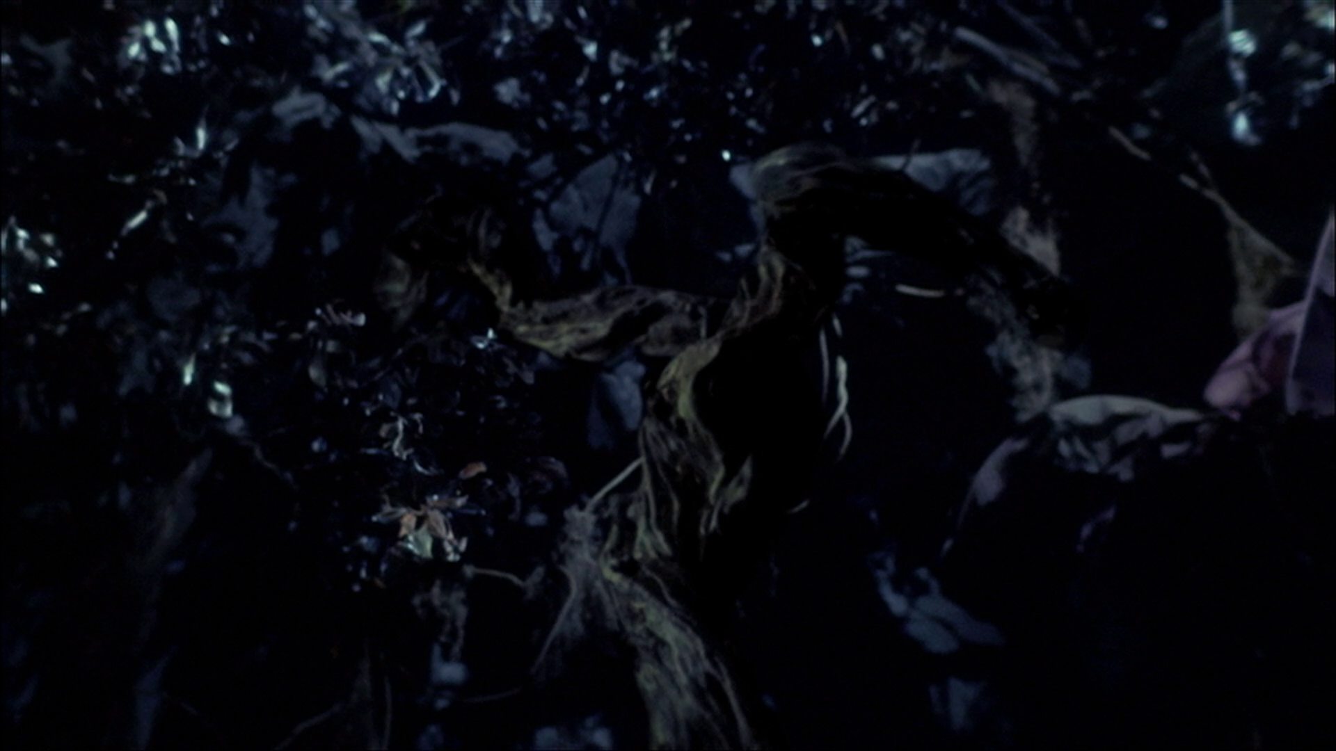 extant_StarTrek_ENT_1x18-RoguePlanet_3354.jpg
