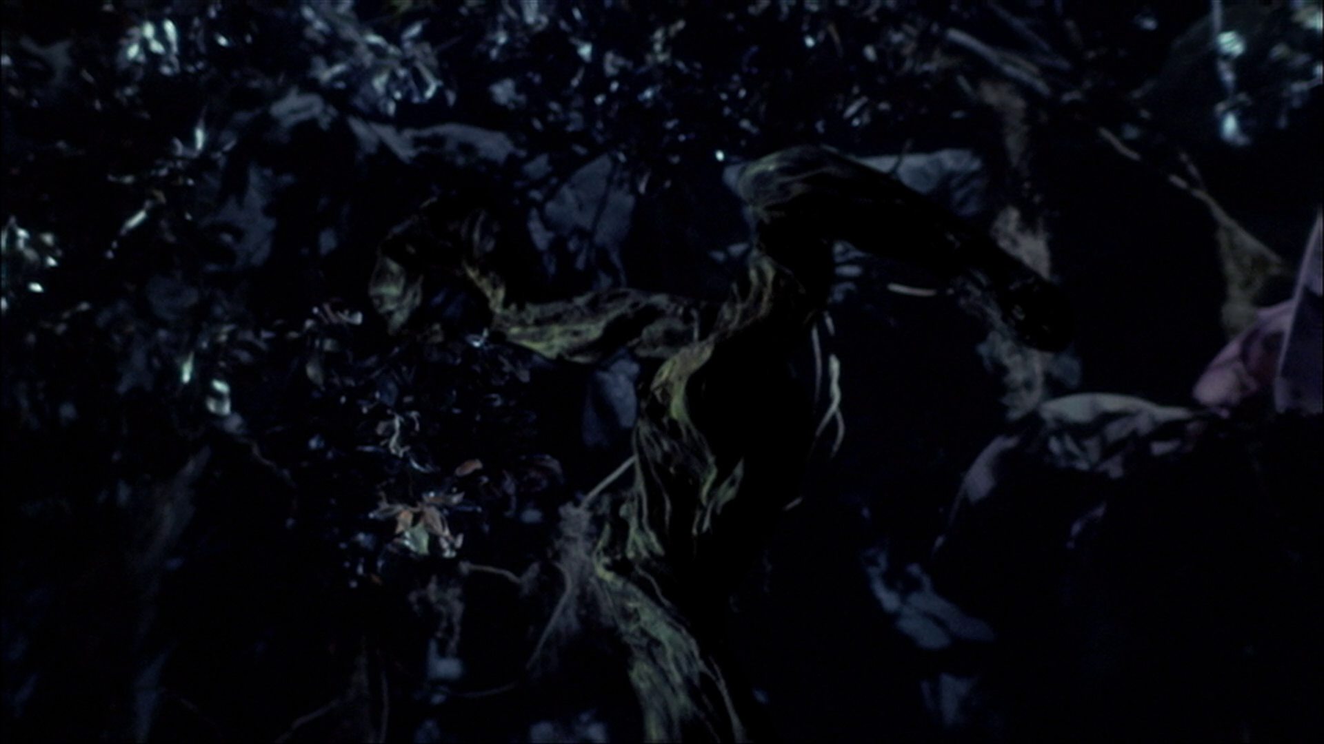 extant_StarTrek_ENT_1x18-RoguePlanet_3355.jpg