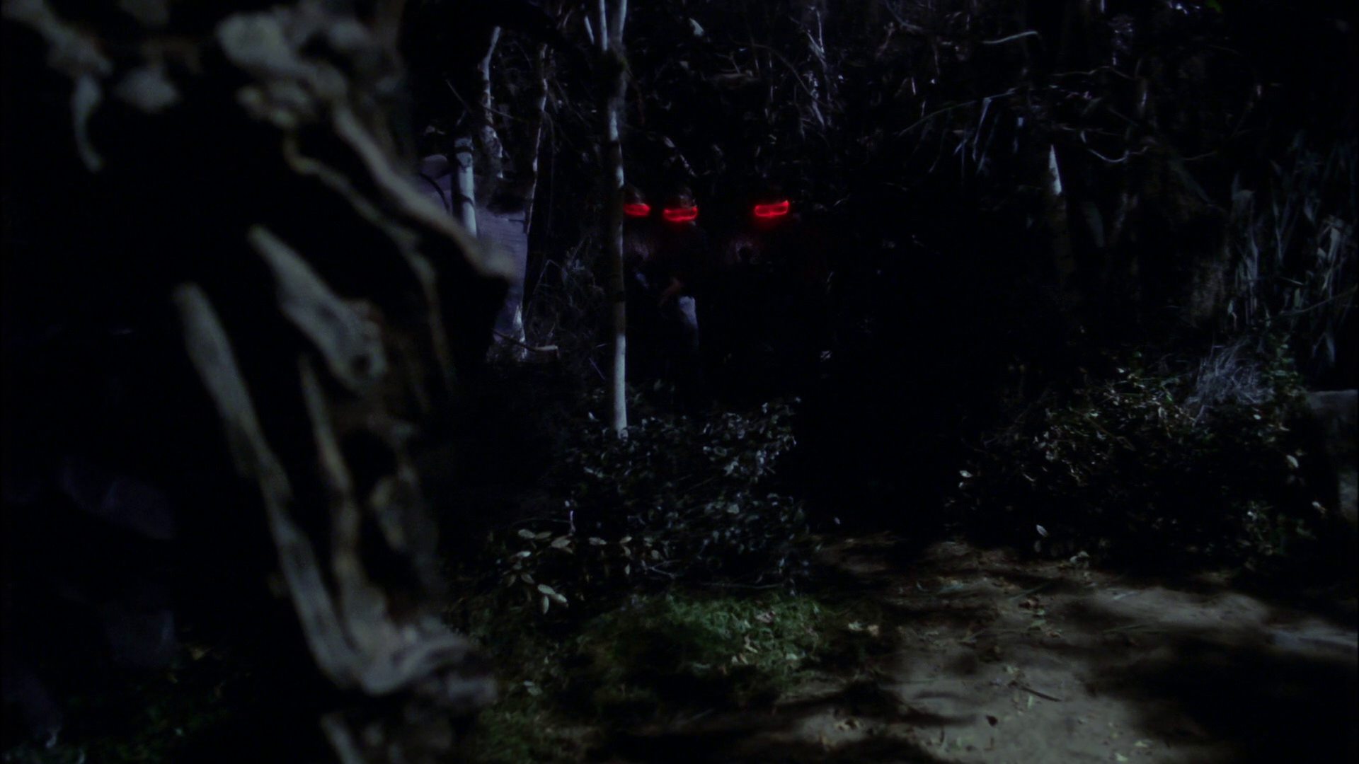 extant_StarTrek_ENT_1x18-RoguePlanet_3356.jpg