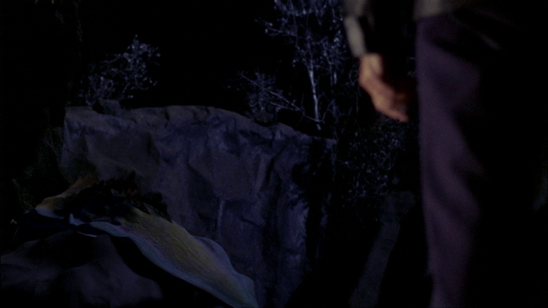 extant_StarTrek_ENT_1x18-RoguePlanet_3659.jpg