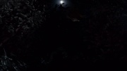 Filename=extant_StarTrek_ENT_1x18-RoguePlanet_0381.jpg
Filesize=138KiB
Dimensions=1920x1080
Date added=May 29, 2020 extant_StarTrek_ENT_1x18-RoguePlanet_0381.jpg