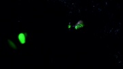 Filename=extant_StarTrek_ENT_1x18-RoguePlanet_0503.jpg
Filesize=57KiB
Dimensions=1920x1080
Date added=May 29, 2020 extant_StarTrek_ENT_1x18-RoguePlanet_0503.jpg