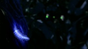extant_StarTrek_ENT_1x18-RoguePlanet_0514.jpg
