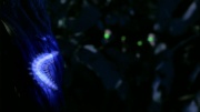 Filename=extant_StarTrek_ENT_1x18-RoguePlanet_0515.jpg
Filesize=107KiB
Dimensions=1920x1080
Date added=May 29, 2020 extant_StarTrek_ENT_1x18-RoguePlanet_0515.jpg