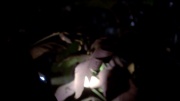 Filename=extant_StarTrek_ENT_1x18-RoguePlanet_1165.jpg
Filesize=83KiB
Dimensions=1920x1080
Date added=May 29, 2020 extant_StarTrek_ENT_1x18-RoguePlanet_1165.jpg