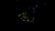 Filename=extant_StarTrek_ENT_1x18-RoguePlanet_1167.jpg
Filesize=50KiB
Dimensions=1920x1080
Date added=May 29, 2020 extant_StarTrek_ENT_1x18-RoguePlanet_1167.jpg