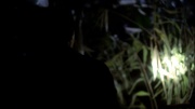 Filename=extant_StarTrek_ENT_1x18-RoguePlanet_1181.jpg
Filesize=119KiB
Dimensions=1920x1080
Date added=May 29, 2020 extant_StarTrek_ENT_1x18-RoguePlanet_1181.jpg