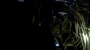 Filename=extant_StarTrek_ENT_1x18-RoguePlanet_1182.jpg
Filesize=97KiB
Dimensions=1920x1080
Date added=May 29, 2020 extant_StarTrek_ENT_1x18-RoguePlanet_1182.jpg
