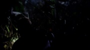 Filename=extant_StarTrek_ENT_1x18-RoguePlanet_1186.jpg
Filesize=76KiB
Dimensions=1920x1080
Date added=May 29, 2020 extant_StarTrek_ENT_1x18-RoguePlanet_1186.jpg