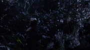 Filename=extant_StarTrek_ENT_1x18-RoguePlanet_1884.jpg
Filesize=165KiB
Dimensions=1920x1080
Date added=May 29, 2020 extant_StarTrek_ENT_1x18-RoguePlanet_1884.jpg