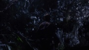 Filename=extant_StarTrek_ENT_1x18-RoguePlanet_1885.jpg
Filesize=160KiB
Dimensions=1920x1080
Date added=May 29, 2020 extant_StarTrek_ENT_1x18-RoguePlanet_1885.jpg