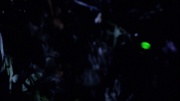 Filename=extant_StarTrek_ENT_1x18-RoguePlanet_1992.jpg
Filesize=79KiB
Dimensions=1920x1080
Date added=May 29, 2020 extant_StarTrek_ENT_1x18-RoguePlanet_1992.jpg