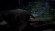 Filename=extant_StarTrek_ENT_1x18-RoguePlanet_3349.jpg
Filesize=109KiB
Dimensions=1920x1080
Date added=May 29, 2020 extant_StarTrek_ENT_1x18-RoguePlanet_3349.jpg