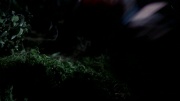 extant_StarTrek_ENT_1x18-RoguePlanet_3393.jpg