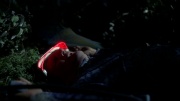 extant_StarTrek_ENT_1x18-RoguePlanet_3395.jpg