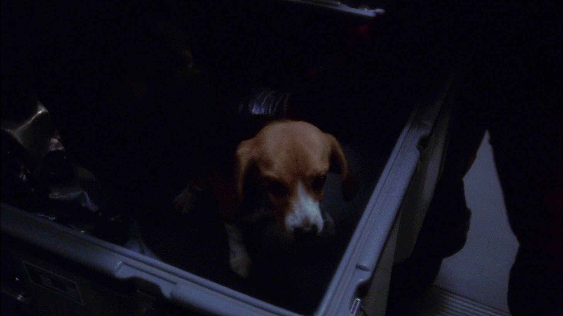 extant_StarTrek_ENT_1x19-Acquisition_2531.jpg