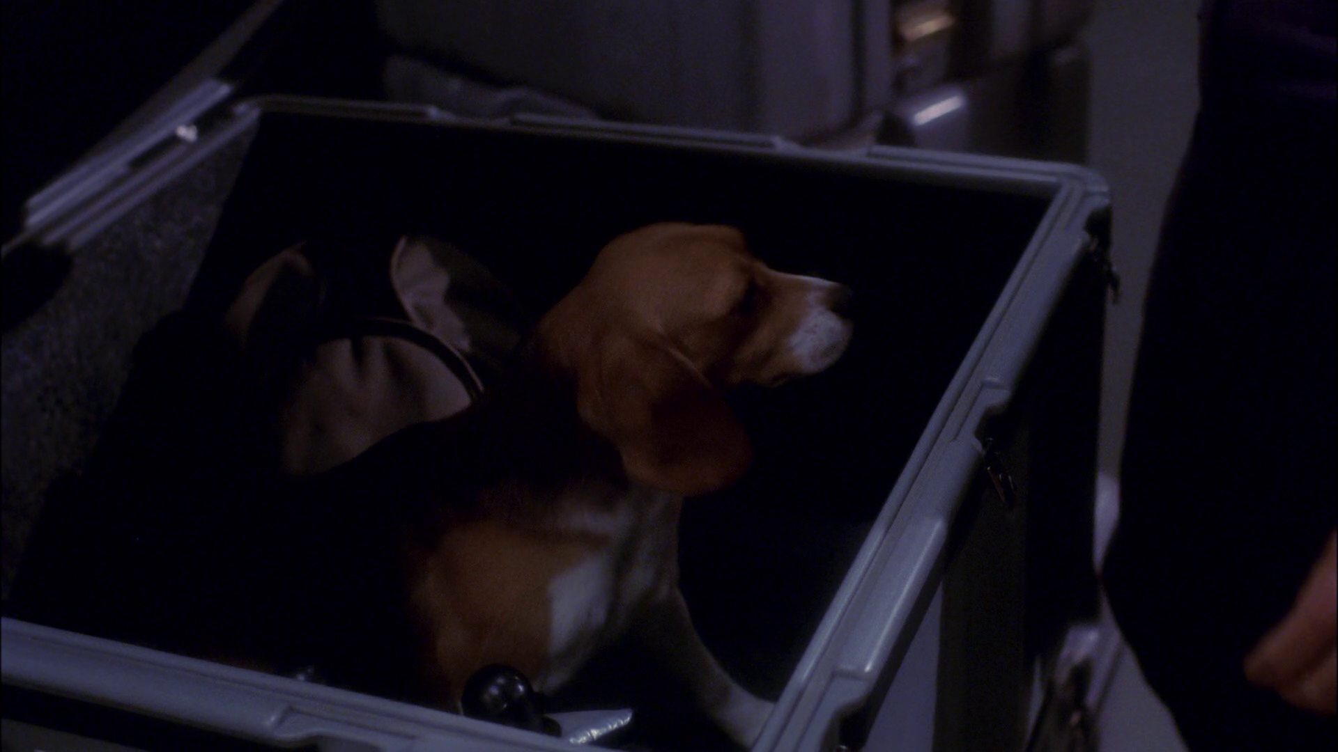 extant_StarTrek_ENT_1x19-Acquisition_3520.jpg