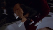 Filename=extant_StarTrek_ENT_1x19-Acquisition_2517.jpg
Filesize=145KiB
Dimensions=1920x1080
Date added=May 30, 2020 extant_StarTrek_ENT_1x19-Acquisition_2517.jpg