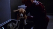 Filename=extant_StarTrek_ENT_1x19-Acquisition_2529.jpg
Filesize=144KiB
Dimensions=1920x1080
Date added=May 30, 2020 extant_StarTrek_ENT_1x19-Acquisition_2529.jpg