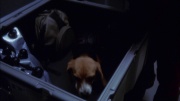 Filename=extant_StarTrek_ENT_1x19-Acquisition_2530.jpg
Filesize=137KiB
Dimensions=1920x1080
Date added=May 30, 2020 extant_StarTrek_ENT_1x19-Acquisition_2530.jpg