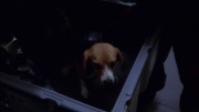 Filename=extant_StarTrek_ENT_1x19-Acquisition_2531.jpg
Filesize=142KiB
Dimensions=1920x1080
Date added=May 30, 2020 extant_StarTrek_ENT_1x19-Acquisition_2531.jpg