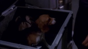 Filename=extant_StarTrek_ENT_1x19-Acquisition_3520.jpg
Filesize=115KiB
Dimensions=1920x1080
Date added=May 30, 2020 extant_StarTrek_ENT_1x19-Acquisition_3520.jpg