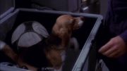 Filename=extant_StarTrek_ENT_1x19-Acquisition_3521.jpg
Filesize=151KiB
Dimensions=1920x1080
Date added=May 30, 2020 extant_StarTrek_ENT_1x19-Acquisition_3521.jpg