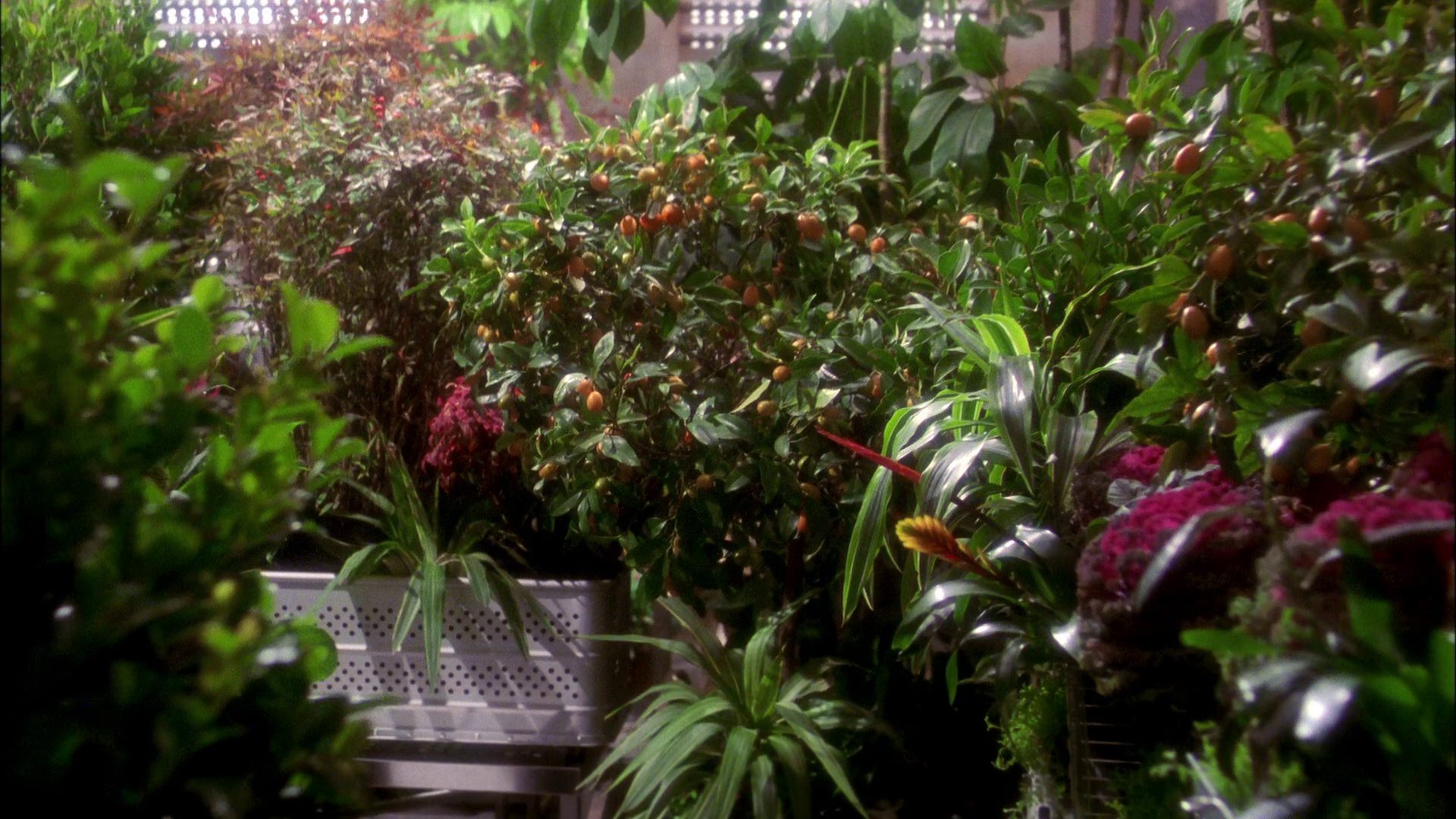 extant_StarTrek_ENT_1x20-Oasis_0837.jpg