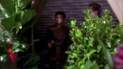 Filename=extant_StarTrek_ENT_1x20-Oasis_0833.jpg
Filesize=282KiB
Dimensions=1920x1080
Date added=May 30, 2020 extant_StarTrek_ENT_1x20-Oasis_0833.jpg