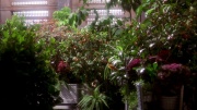 Filename=extant_StarTrek_ENT_1x20-Oasis_0835.jpg
Filesize=338KiB
Dimensions=1920x1080
Date added=May 30, 2020 extant_StarTrek_ENT_1x20-Oasis_0835.jpg