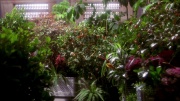 Filename=extant_StarTrek_ENT_1x20-Oasis_0836.jpg
Filesize=327KiB
Dimensions=1920x1080
Date added=May 30, 2020 extant_StarTrek_ENT_1x20-Oasis_0836.jpg