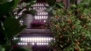 Filename=extant_StarTrek_ENT_1x20-Oasis_0867.jpg
Filesize=244KiB
Dimensions=1920x1080
Date added=May 30, 2020 extant_StarTrek_ENT_1x20-Oasis_0867.jpg
