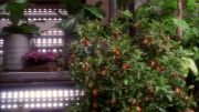 Filename=extant_StarTrek_ENT_1x20-Oasis_0868.jpg
Filesize=271KiB
Dimensions=1920x1080
Date added=May 30, 2020 extant_StarTrek_ENT_1x20-Oasis_0868.jpg