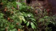 Filename=extant_StarTrek_ENT_1x20-Oasis_0870.jpg
Filesize=237KiB
Dimensions=1920x1080
Date added=May 30, 2020 extant_StarTrek_ENT_1x20-Oasis_0870.jpg