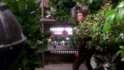 Filename=extant_StarTrek_ENT_1x20-Oasis_0895.jpg
Filesize=306KiB
Dimensions=1920x1080
Date added=May 30, 2020 extant_StarTrek_ENT_1x20-Oasis_0895.jpg