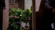 Filename=extant_StarTrek_ENT_1x20-Oasis_0901.jpg
Filesize=227KiB
Dimensions=1920x1080
Date added=May 30, 2020 extant_StarTrek_ENT_1x20-Oasis_0901.jpg