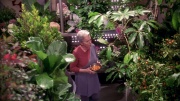 Filename=extant_StarTrek_ENT_1x20-Oasis_2558.jpg
Filesize=344KiB
Dimensions=1920x1080
Date added=May 30, 2020 extant_StarTrek_ENT_1x20-Oasis_2558.jpg