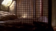 Filename=extant_StarTrek_ENT_1x21-Detained_1236.jpg
Filesize=162KiB
Dimensions=1920x1080
Date added=May 30, 2020 extant_StarTrek_ENT_1x21-Detained_1236.jpg