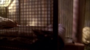 Filename=extant_StarTrek_ENT_1x21-Detained_1237.jpg
Filesize=153KiB
Dimensions=1920x1080
Date added=May 30, 2020 extant_StarTrek_ENT_1x21-Detained_1237.jpg